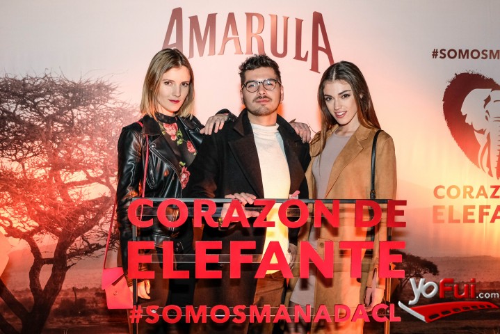 YoFui.com Amarula lanza su campaña Corazón de Elefante, Casa Pocuro  (8239)